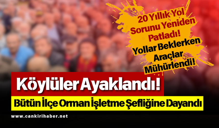Köylüler Ayaklandı! Bütün İlçe Orman İşletme Şefliğine Dayandı