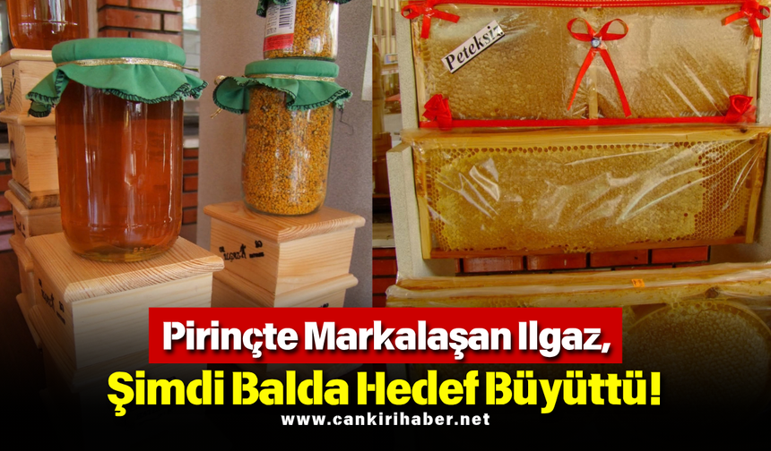 Pirinçte Markalaşan Ilgaz, Şimdi Balda Hedef Büyüttü!