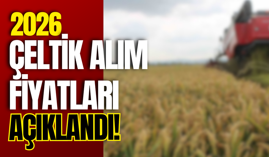 2026 Çeltik Alım Fiyatları Açıklandı!