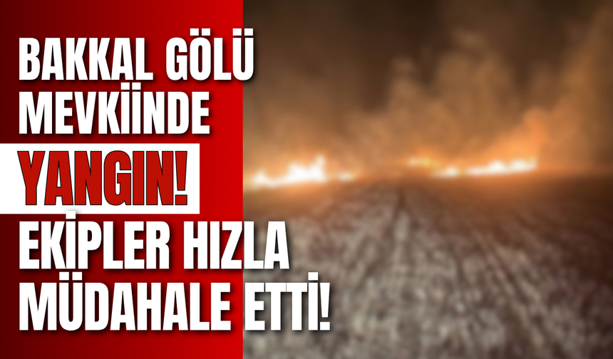 Bakkal Gölü Mevkiinde Yangın! Ekipler Hızla Müdahale Etti!