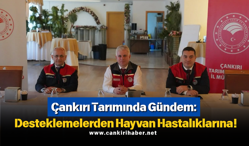 Çankırı Tarımında Gündem: Desteklemelerden Hayvan Hastalıklarına!