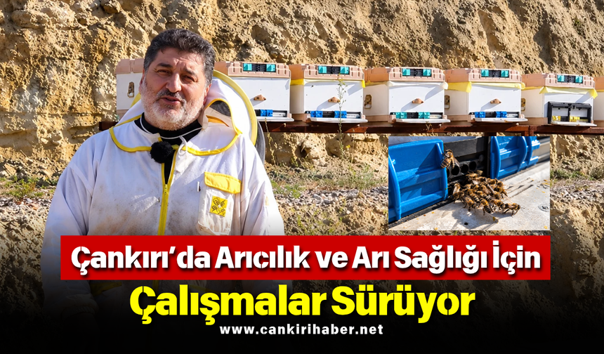 Çankırı’da Arıcılık ve Arı Sağlığı İçin Çalışmalar Sürüyor