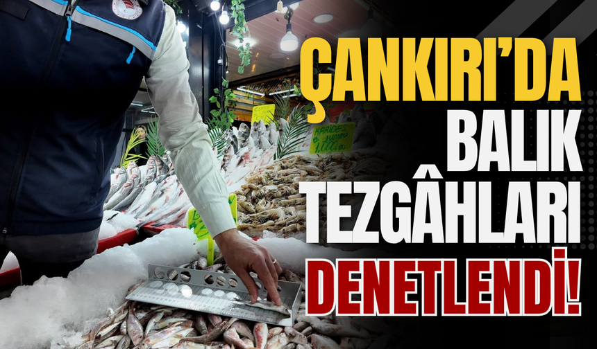 Çankırı’da Balık Tezgâhları Denetlendi!