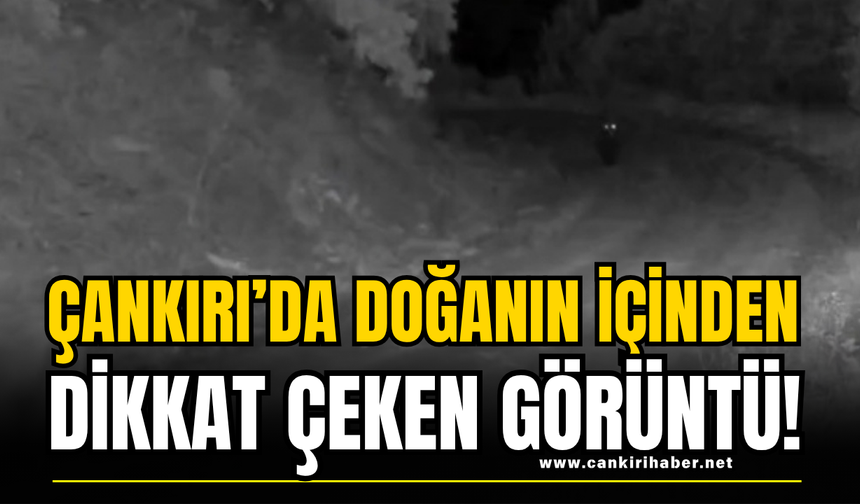 Çankırı’da Doğanın İçinden Dikkat Çeken Görüntü!