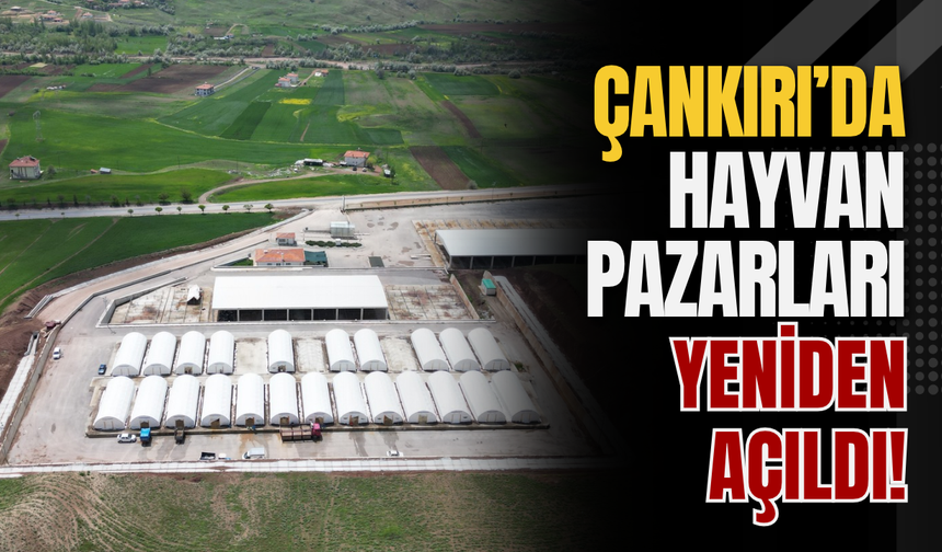 Çankırı’da Hayvan Pazarları Yeniden Açıldı!