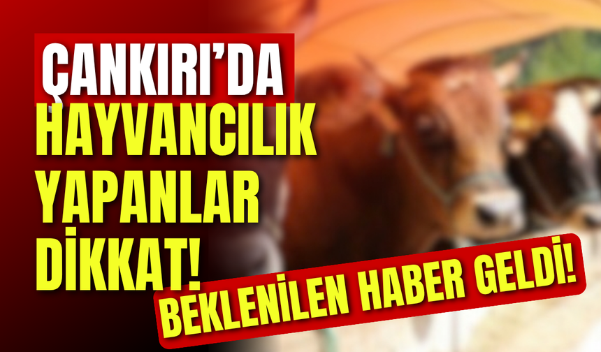 Çankırı’da Hayvancılık Yapanlar Dikkat! Beklenilen Haber Geldi