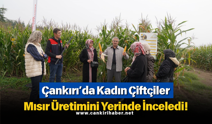 Çankırı’da Kadın Çiftçiler Mısır Üretimini Yerinde İnceledi!