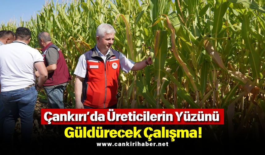 Çankırı’da Üreticilerin Yüzünü Güldürecek Çalışma!