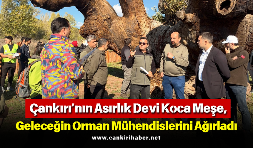 Çankırı’nın Asırlık Devi Koca Meşe, Geleceğin Orman Mühendislerini Ağırladı