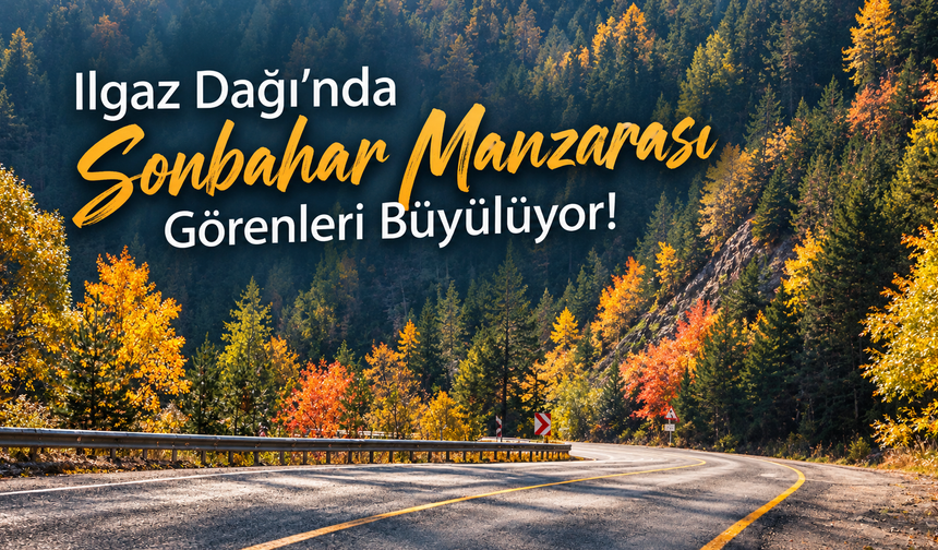 Ilgaz Dağı’nda Sonbahar Manzarası Görenleri Büyülüyor!