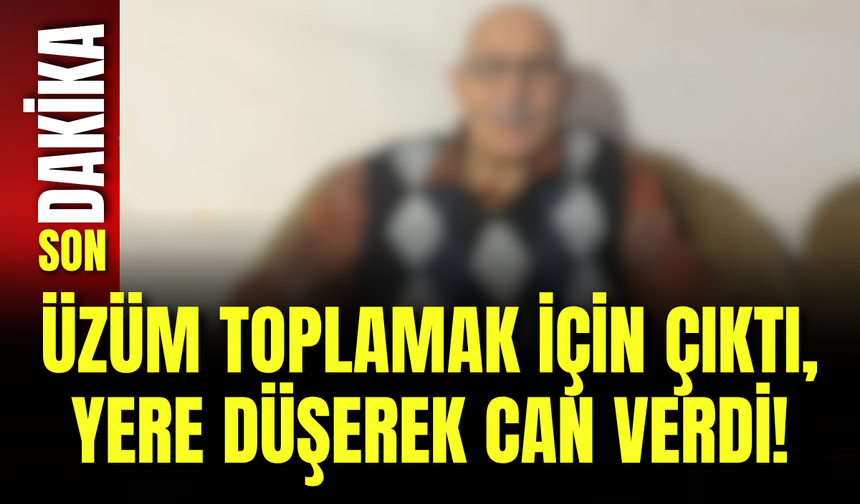 Üzüm Toplamak İçin Çıktı, Yere Düşerek Can Verdi!